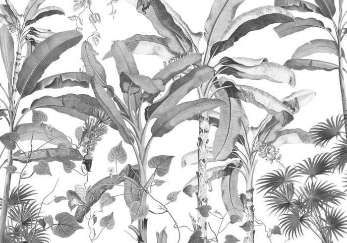 Intissé Standard Croissances Monochrome