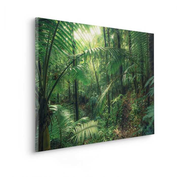 Vlies Bild auf Keilrahmen/ Echtholzrahmen Jungleflair
