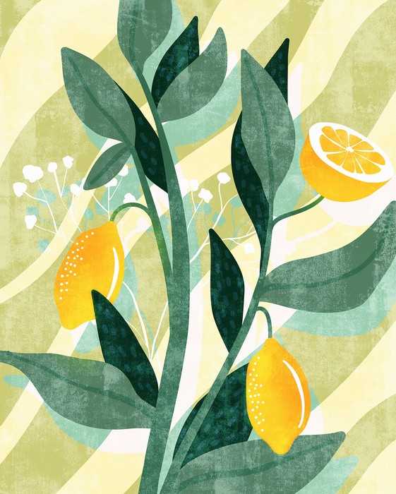 Intissé Standard Lemon Fresh