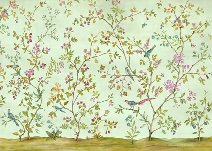 Intissé Standard Oiseaux du Paradis