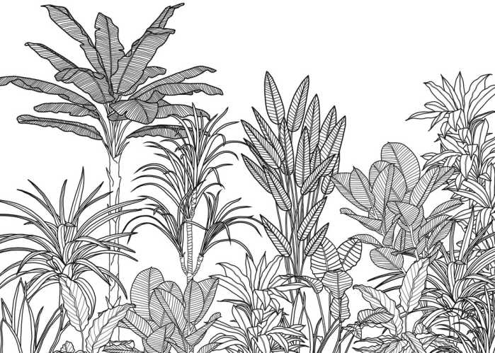 Intissé Standard Savanna