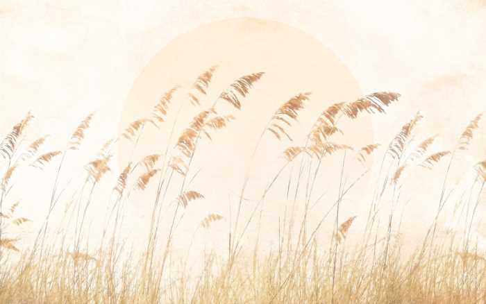 Intissé Standard Dune Grass