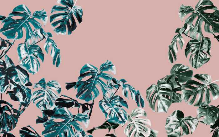 Intissé Premium Monstera Rosé
