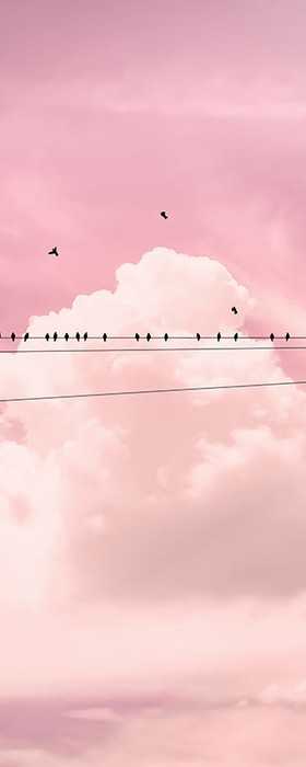 Intissé Premium Cloud Wire