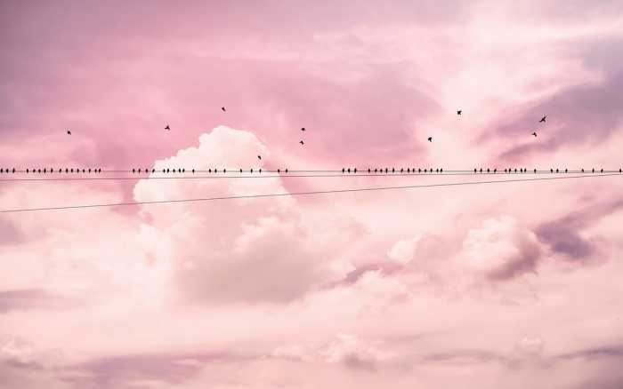 Intissé Premium Cloud Wire