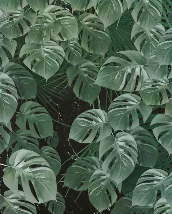 Intissé Premium Monstera on Marble