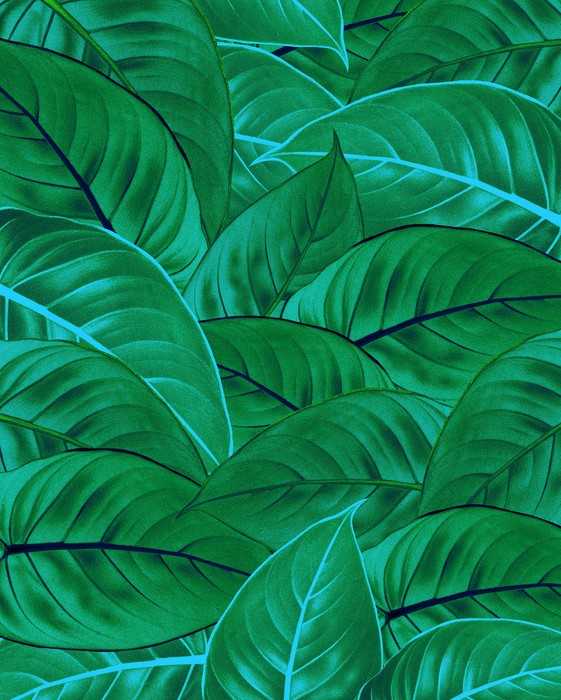 Intissé Premium Jungle Leaves