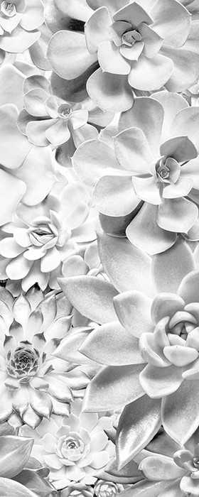 Intissé Premium Shades Black and White