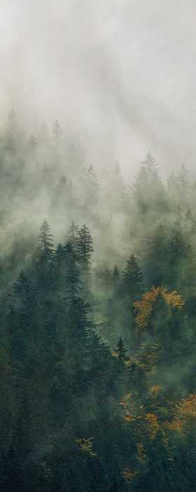 Intissé Premium Tales of the Carpathians