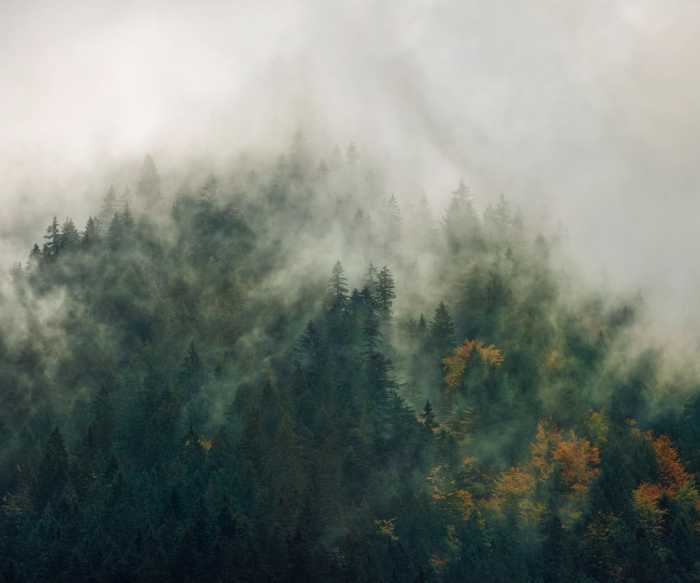 Intissé Premium Tales of the Carpathians