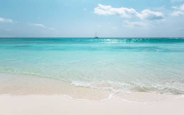 Intissé Premium Azur Ocean