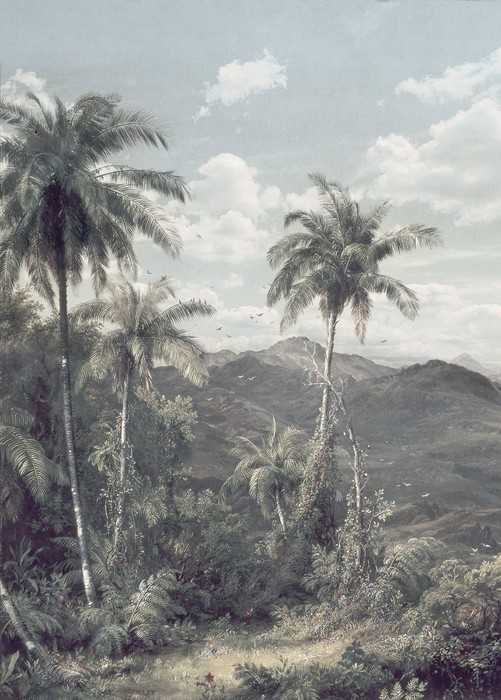 Intissé Premium The Exotic Land