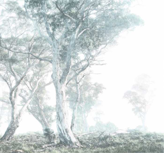 Intissé Premium Magic Trees