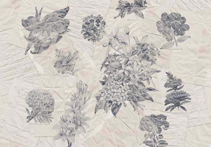 Intissé Premium Botanical Papers
