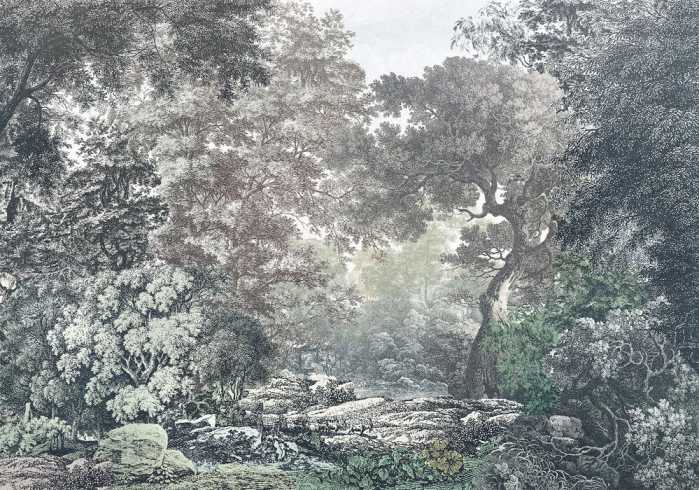 Intissé Premium Fairytale Forest