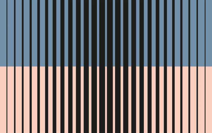 Intissé Premium Lamello Mezzo lightprussian-apricot