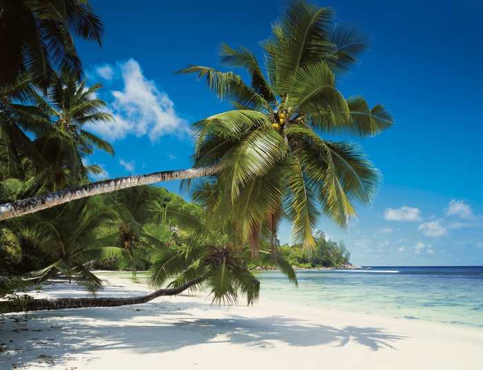Photo murale sur papier Coconut Bay