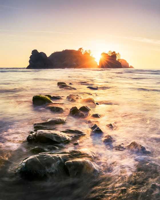 Intissé Premium Island Dreaming