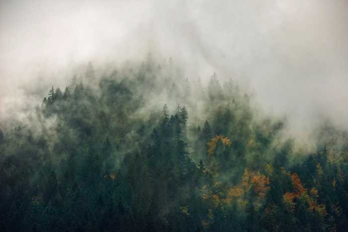 Intissé Premium Tales of the Carpathians