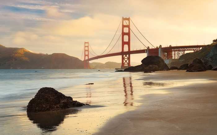 Intissé Premium Golden Gate