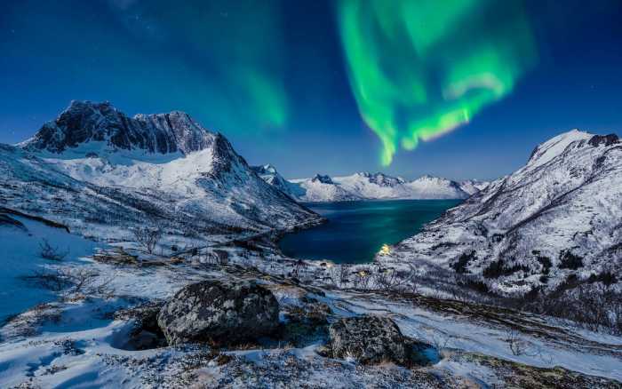 Intissé Premium I LOVE Norway