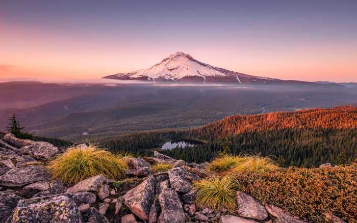 Intissé Premium Kingdom of a Mountain