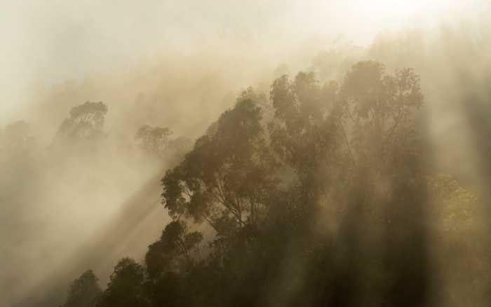 Intissé Premium Misty Mountain