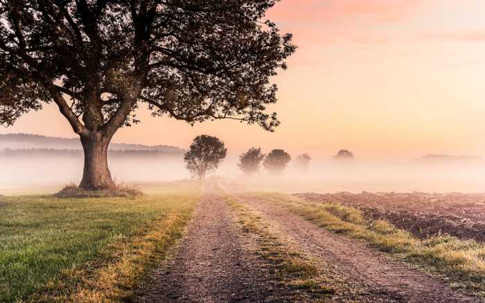 Intissé Premium Misty Morning