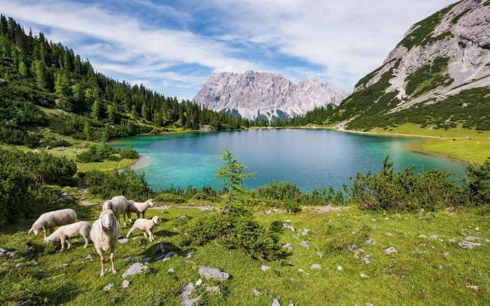 Intissé Premium Paradise Lake