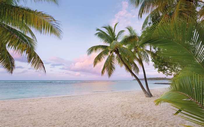 Intissé Premium Paradise Morning