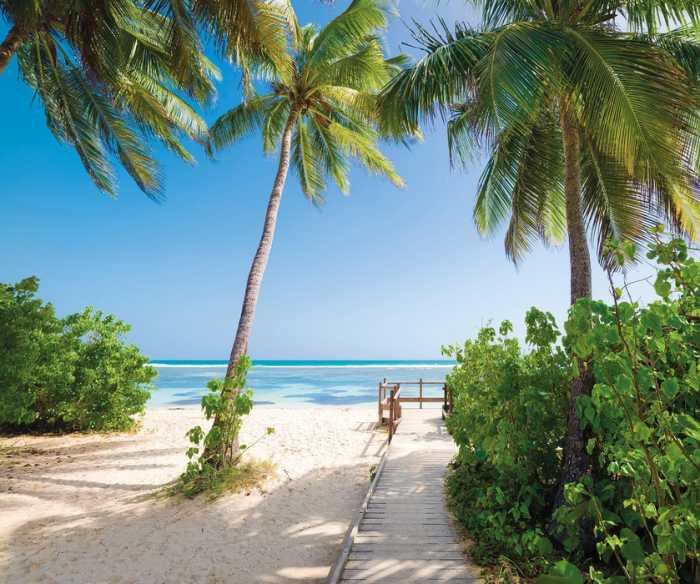 Intissé Premium Palmy Beach