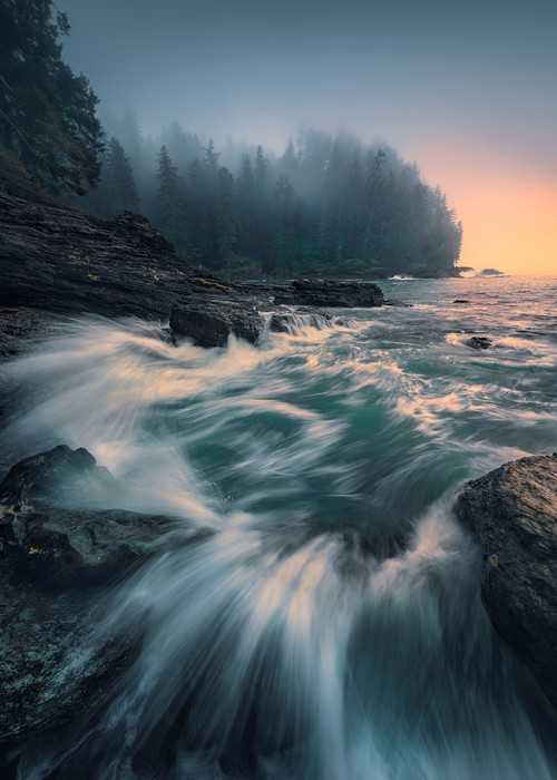 Intissé Standard Cry of the Sea
