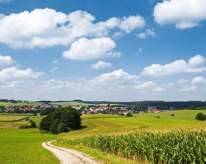 Intissé Standard Bayrische Idylle