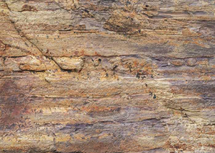 Intissé Standard African Wall III