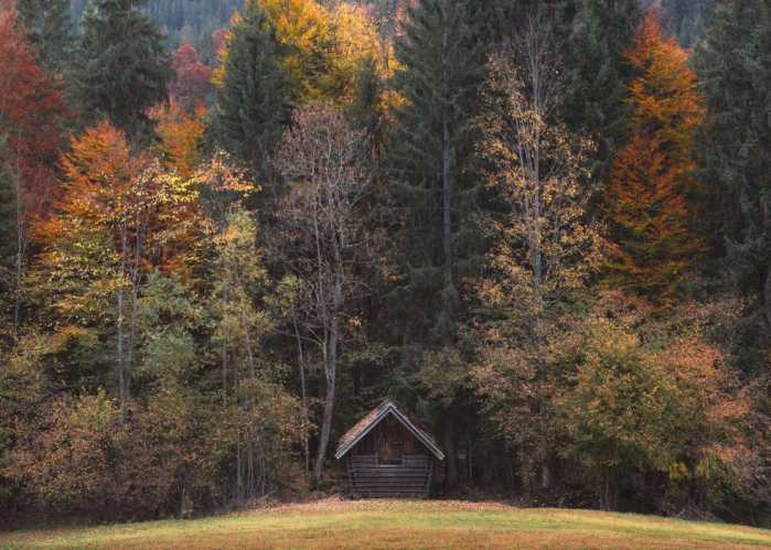Intissé Standard Autumn Cabin