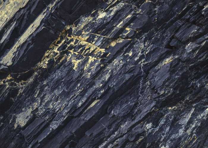 Intissé Standard Colors of Earth I