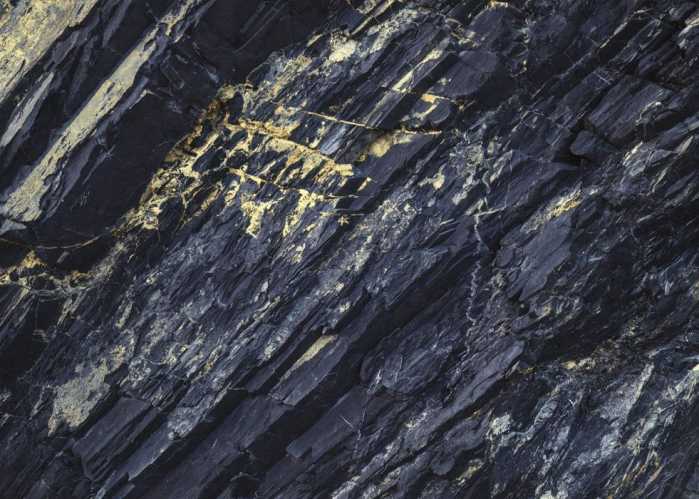 Intissé Standard Colors of Earth I
