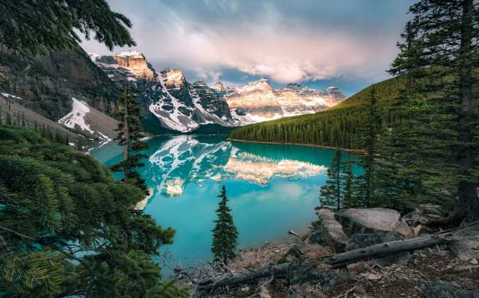 Intissé Standard Magic Moraine Morning