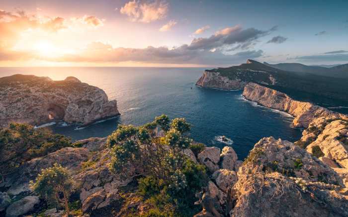 Intissé Standard Mediterranes Spektakel