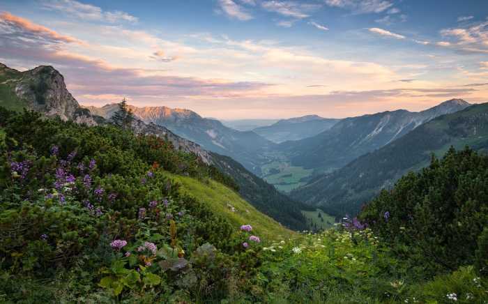 Intissé Standard Naturpark Allgäuer Hochalpen