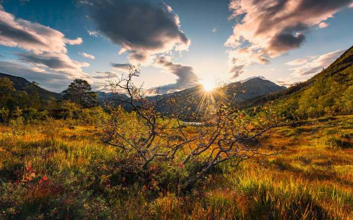 Intissé Standard Norwegische Herbstwelten