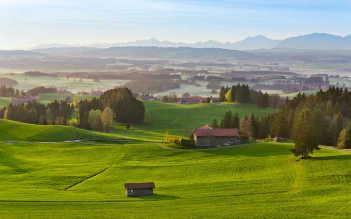 Intissé Standard Paradiesisches Bayern