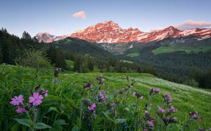 Intissé Standard Picturesque Switzerland