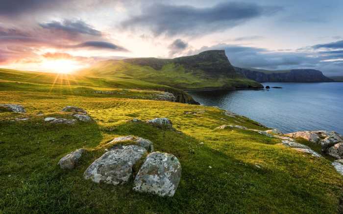 Intissé Standard Scottish Paradise