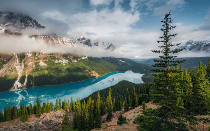 Intissé Standard Wonderland Canada