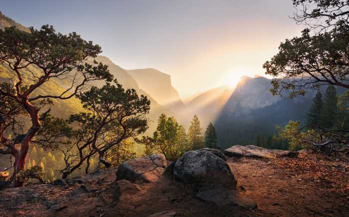 Intissé Standard Yosemites Secret