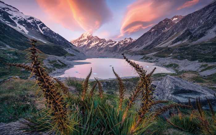 Intissé Standard Momentum Lord of the Mountains 