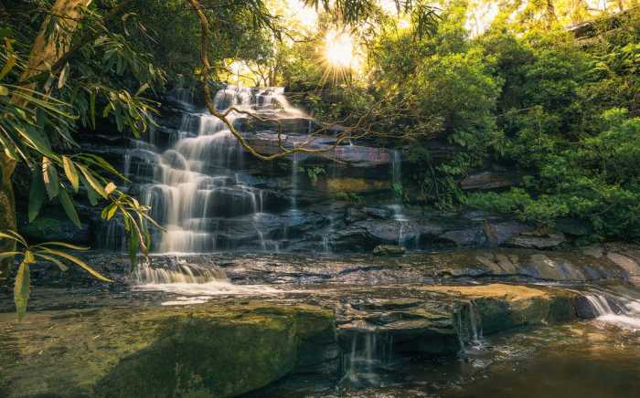Intissé Standard Golden Falls