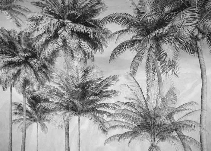 Photo murale sur intissé Coco Oasis