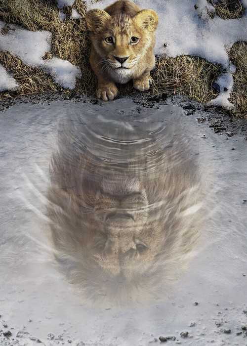 Poster d'art Disney Mufasa The Lion King